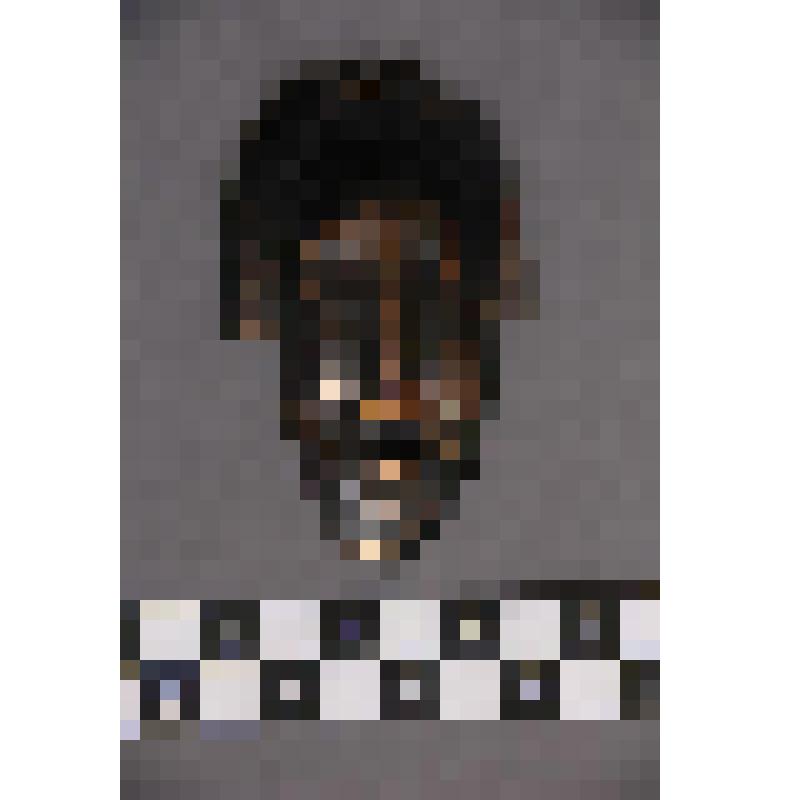 коллекция В.Ф. Лагодича. Талисман на металлической пластине в виде лица человека. В меховом головном уборе (сохранилась часть из черного меха)