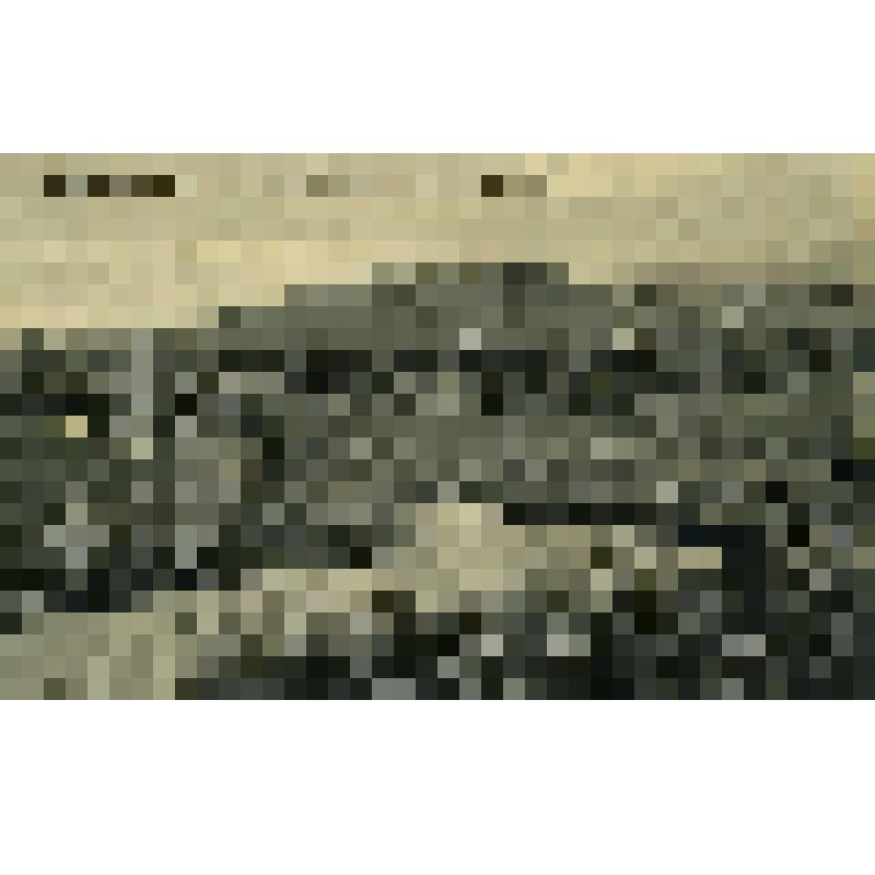 Почтовая художественная открытка. Г.Кисловодск. Серые камни в Новом парке. Издание фотографии Г.И. Раева в Пятигорске