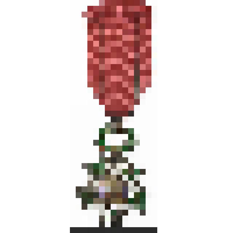 Орден Почетного легиона