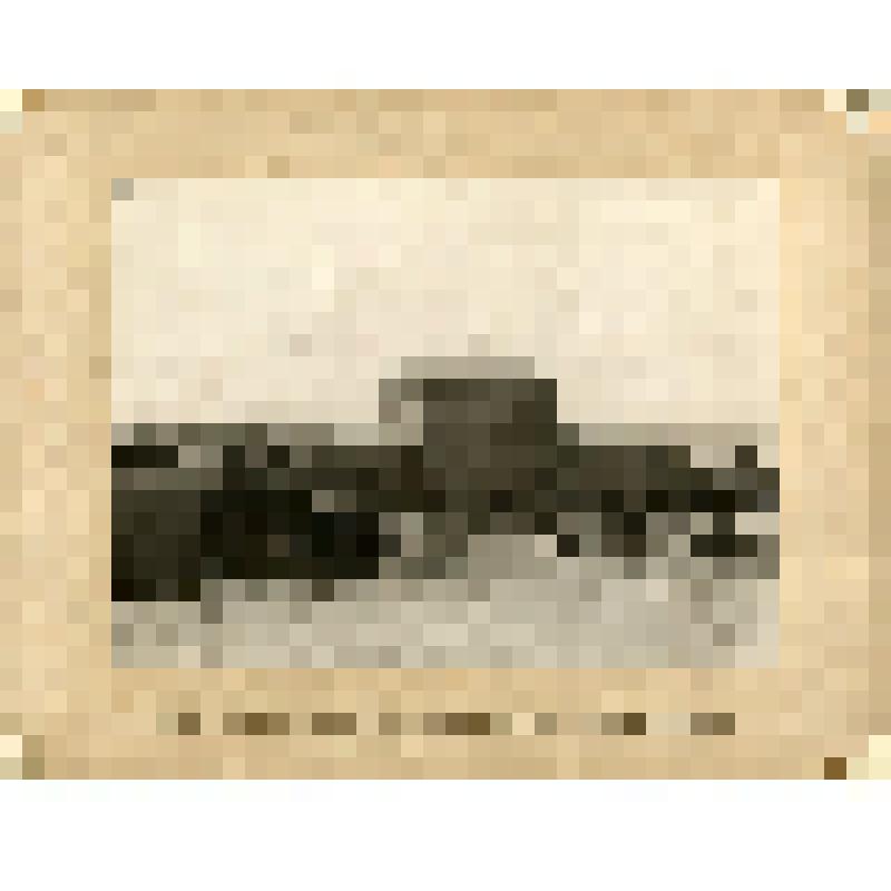 Фотография. Паровой лесопильный завод и мукомольная мельница С.И. Степашкина. - Из альбома «Фабрики и заводы г. Саратова. 1902»