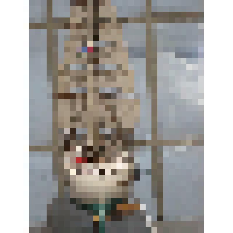 Модель. Экспедиционное судно «Святая Анна» на подставке