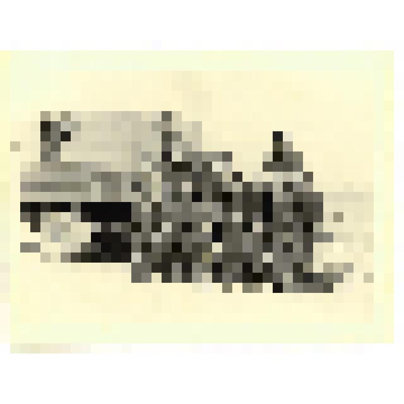 Фотография. Первые нефтяники. Стоят в степи у грузовой машины. Грозненская обл., Ачикулакский р-н, пос. Затеречный, 1952 г