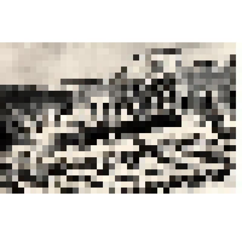 Фотография. Рим. Железнодорожный вокзал