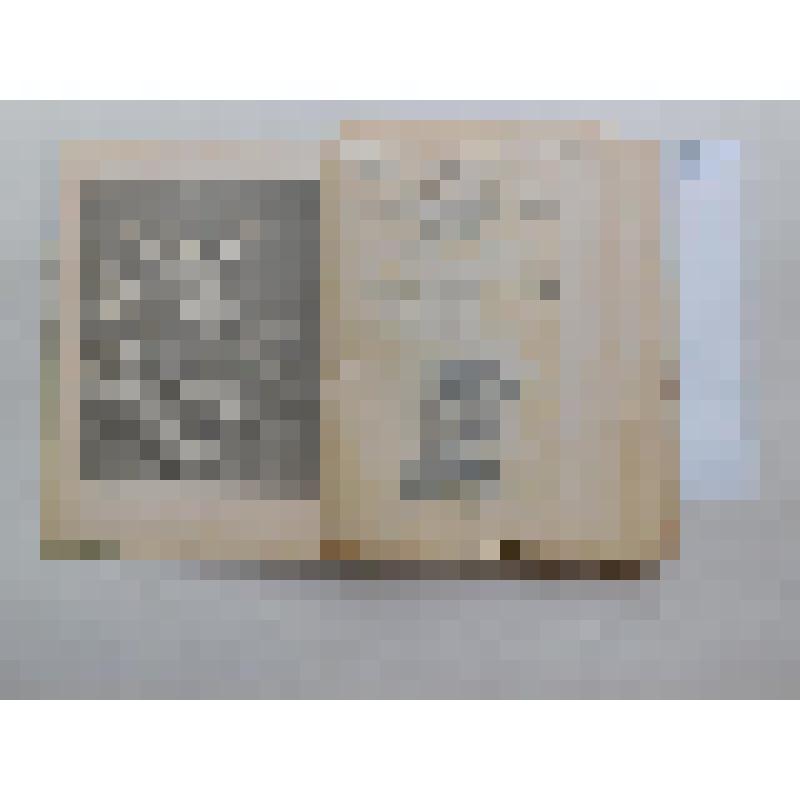 Книга. Божественная комедия. Часть III.-Рай. - СПб.: типография Глазунова, 1897 г