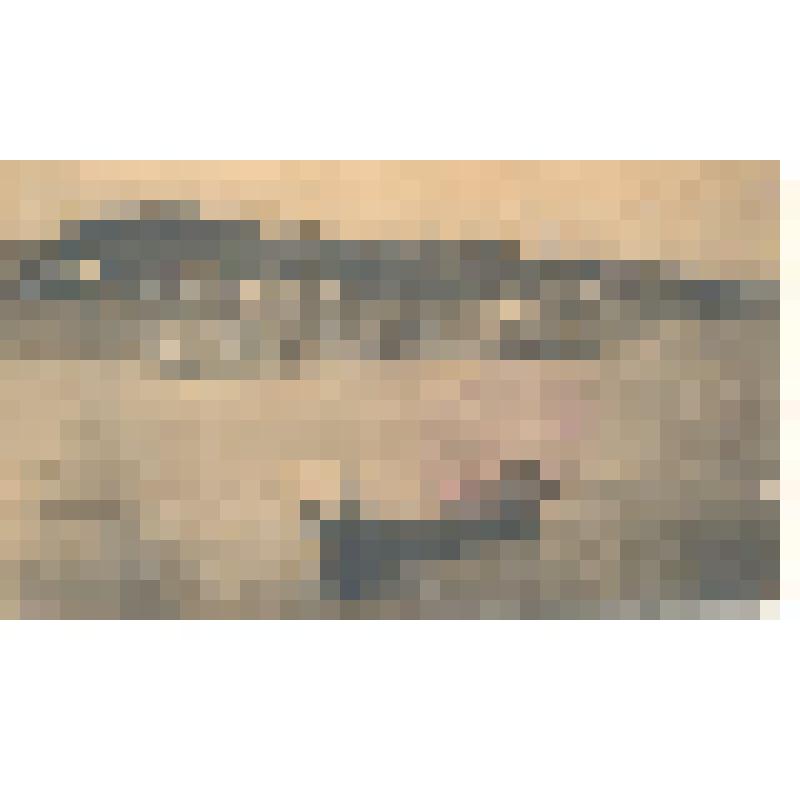 Почтовая открытка. Вид города от реки