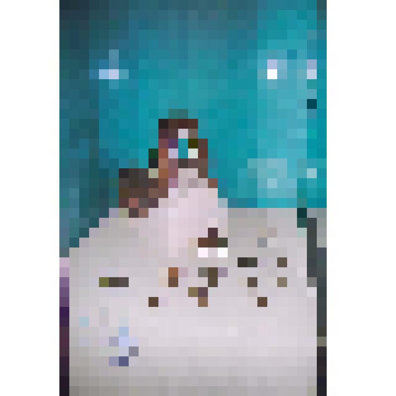 Зал N 3 выставки "Аланский всадник". Витрина с экспонатами из коллекции ГИМ: седло, конский убор