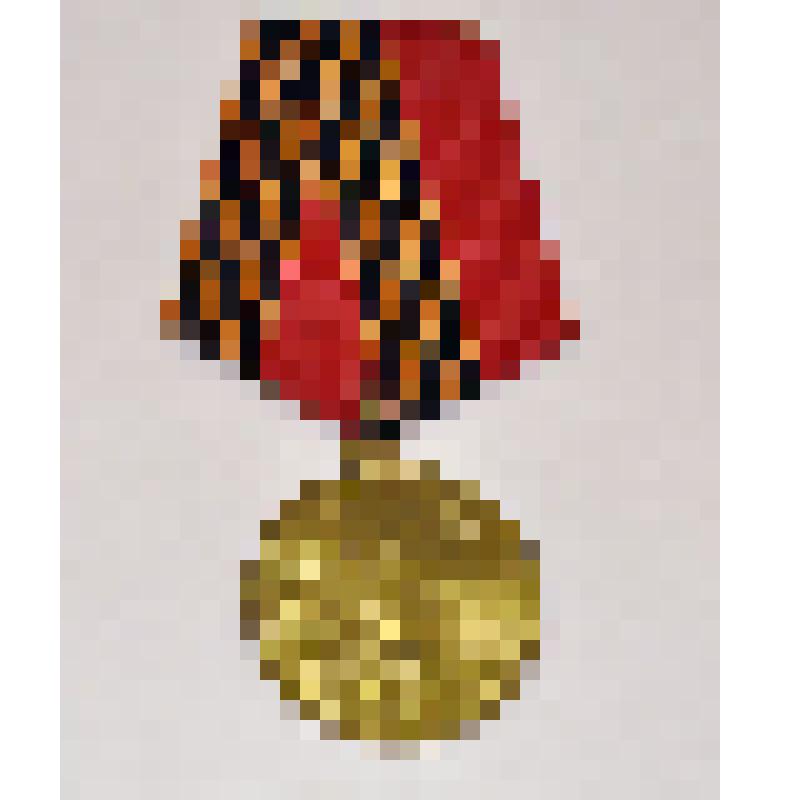 Медаль Украины юбилейная. 50 лет Победы в Великой Отечественной войне. Курылёва Н.И, ветерана Великой Отечественной войны