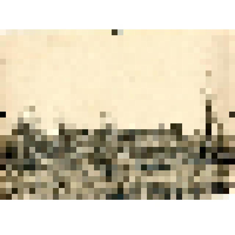 Фотография. Поселок в Туруханском крае