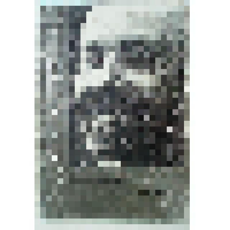 Книга "Хроники одного фейерверка (поиски смысла)"