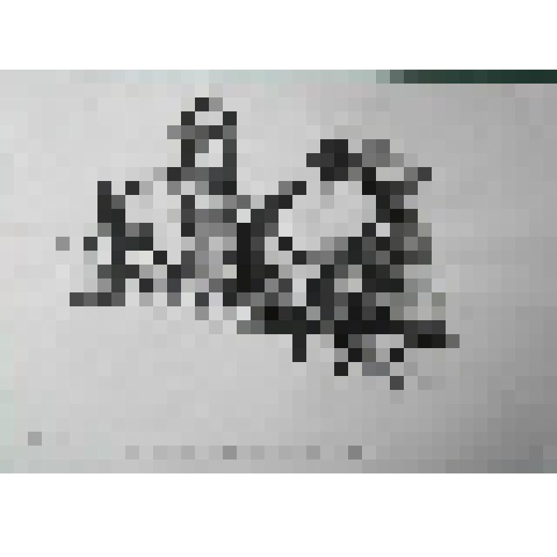 Графическая работа. «Пушкин и Кипренский»