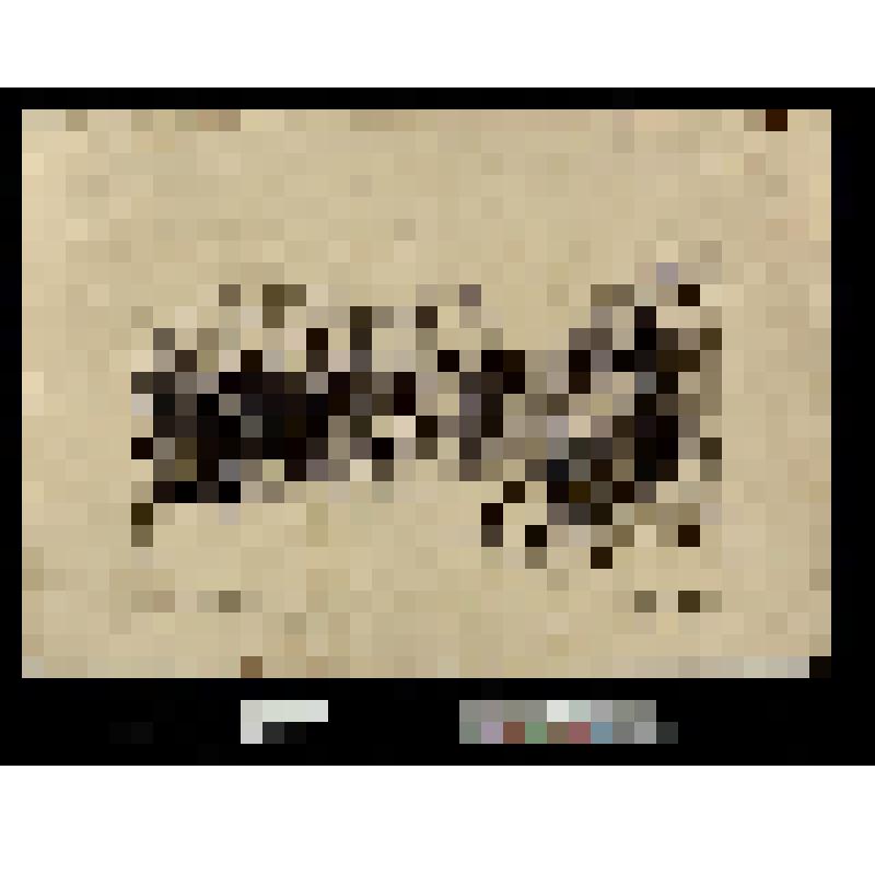 Vue prise dans la salle des pas perdus quelques instants avant la réouverture des portes de l'Assemblée Nationale