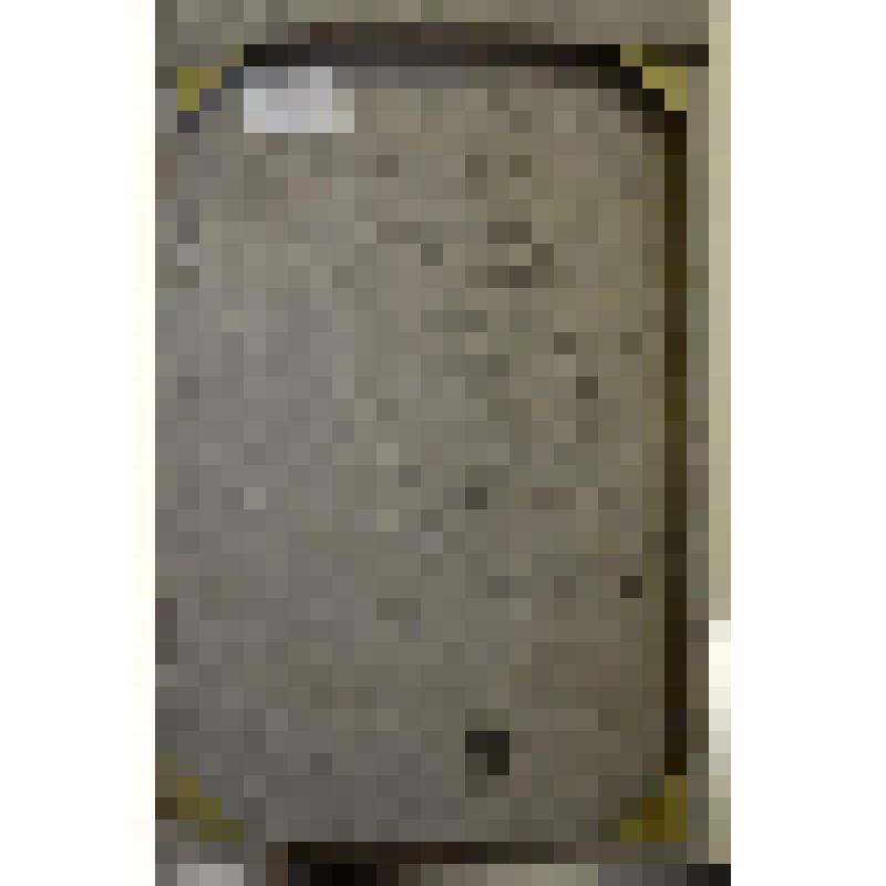 «Автопортрет» («Взгляд в будущее»). Картина