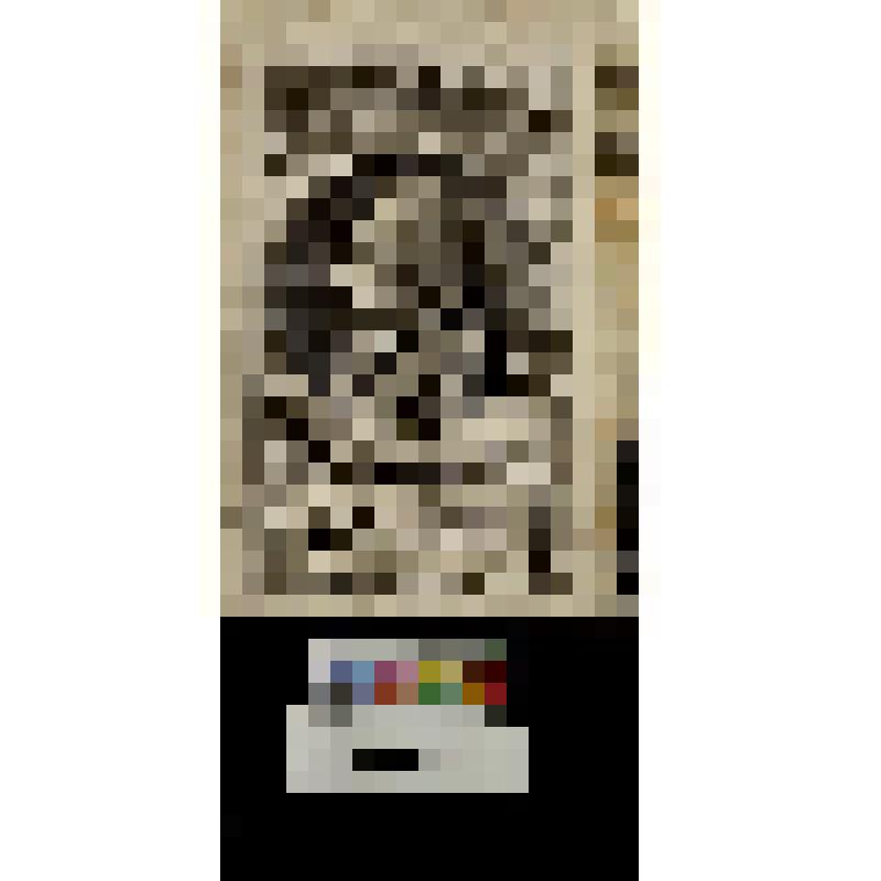 4. Портрет Иоганна Генриха Казимира фон Кармер.  "Johann Heinrich Casimir v. Carmer"