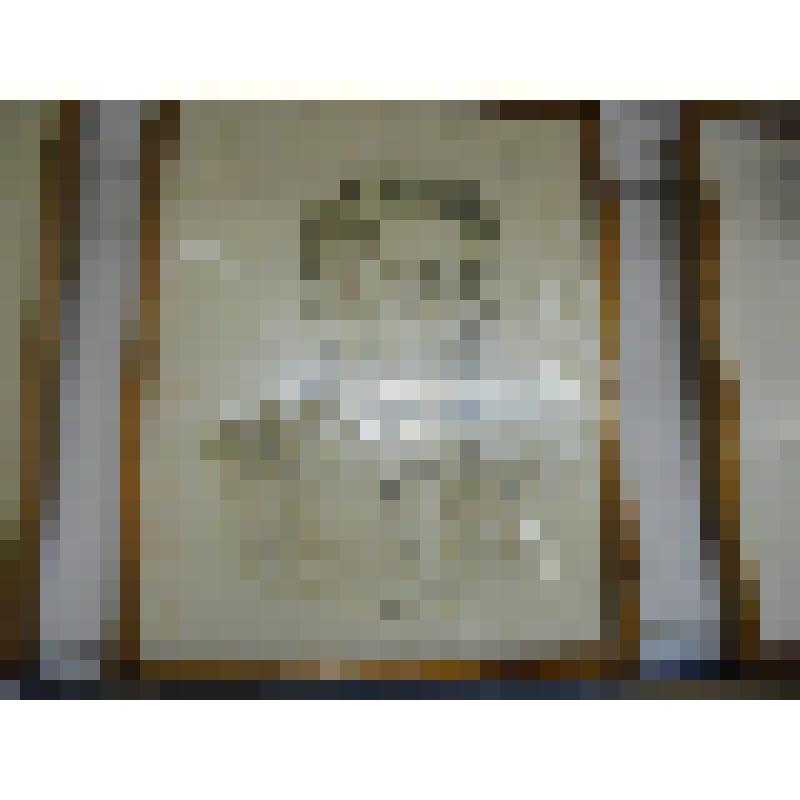 Портрет . Ахмадиев Салимгарай  Гимадович 