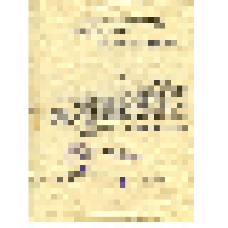 Служебная характеристика