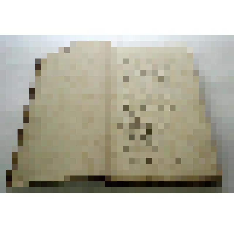 печатная книга. Herculanens Volumumem