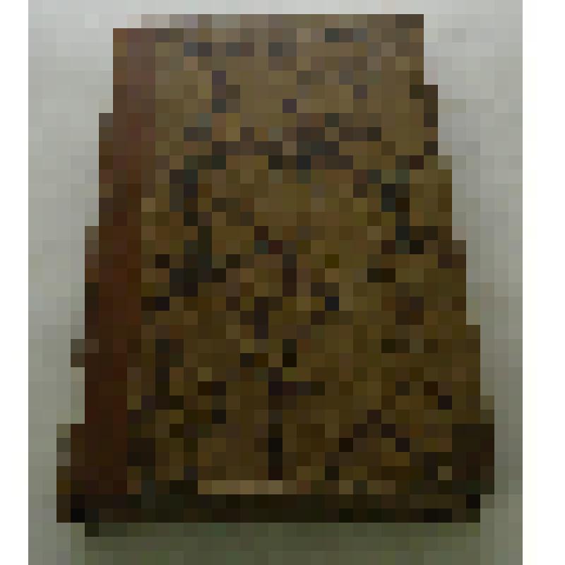 печатная книга. Herculanens Volumumem