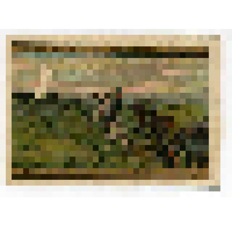 Бумажный денежный знак. Нотгельд г. Орламюнде. Битва при Заальфельде, 1806 г. Принц Луи Фердинанд Прусский и призрачная фигура женщины. 50 пфеннигов. Германия (Веймарская республика)