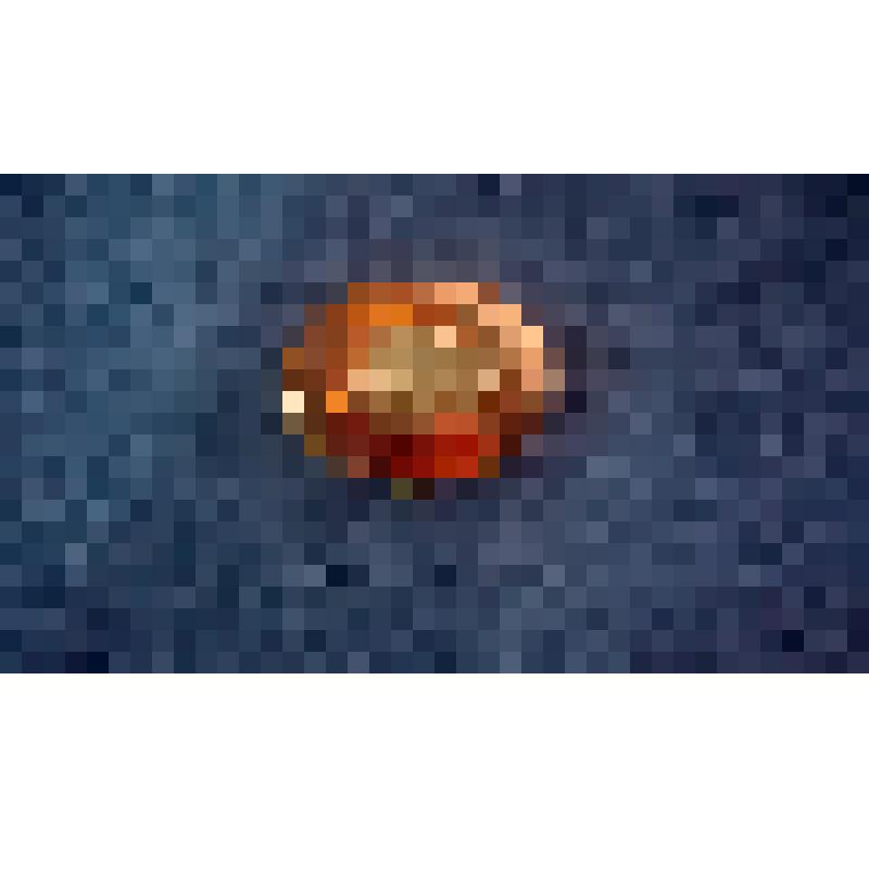 Портмоне дамское овальной формы, с откидной крышкой