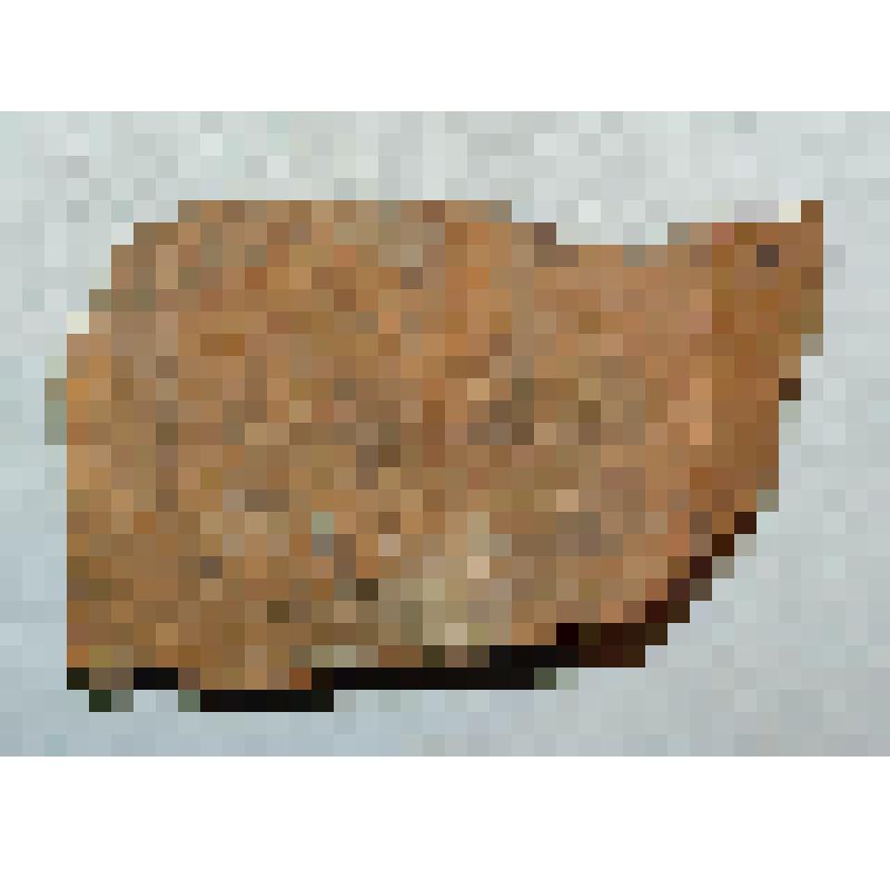 горная порода. Доломитизированная горная порода с включениями. Ca Mg(CO3)2