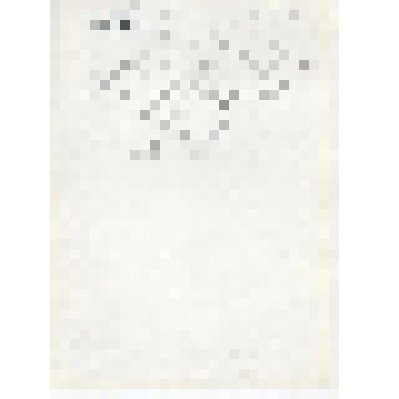 Фотография. Квашенкин Игорь Александрович