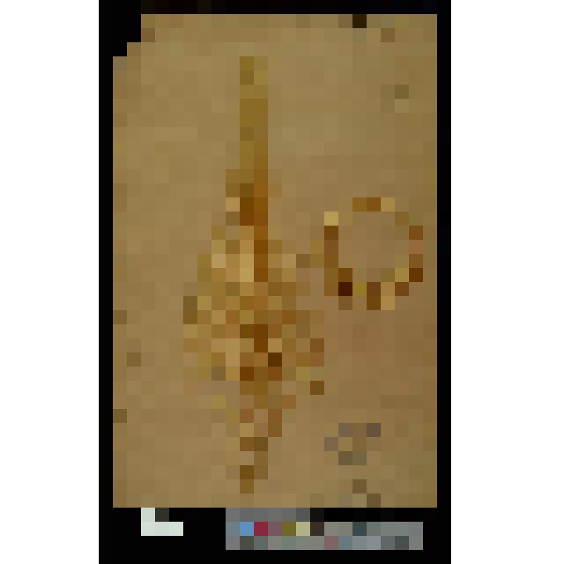 Эскиз декора для бронзы (?)