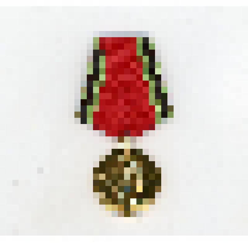 Медаль нагрудная «Двадцать лет победы в Великой Отечественной войне 
1941 1945 гг.» Еремеева Валериана Евгеньевича, СССР, 1965 г