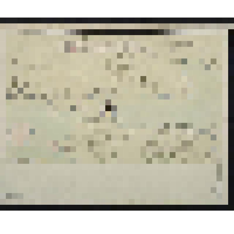 Сборный атлас рукописных карт XVIII в. Карта островам Карпо и Нагосунт, при которых галерных флот от острова Гротаен 3 мили 17ю ставку имел июня 10 дня 1743 года