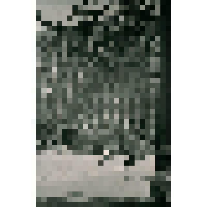 Негатив ч/б "Здание управления "Коминефть""