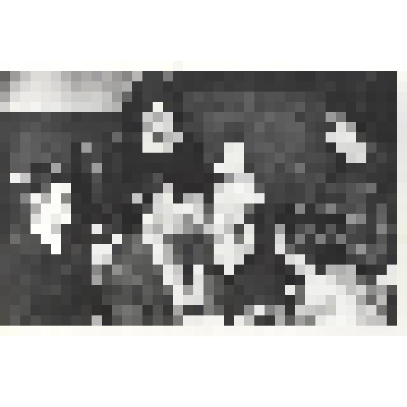 Фотография. Артисты кукольного театра Дома народного творчества г. Астрахани