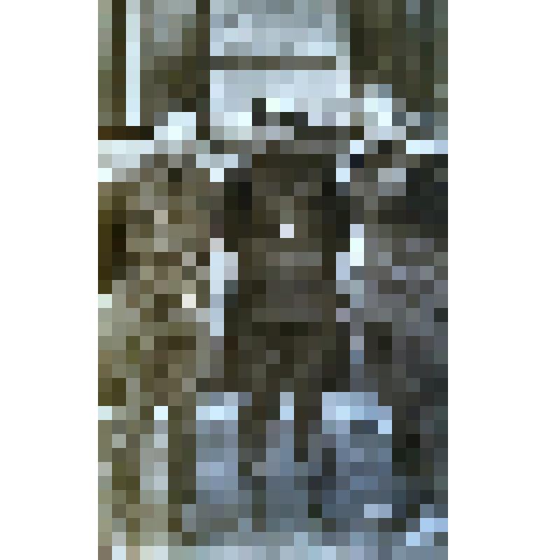 Фотография черно-белая. "Н.П. Коротков, А.Д. Бондаренко, В.А. Андреев - партизаны южного массива Брянских лесов"