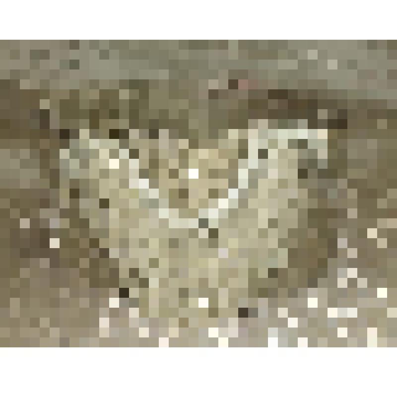 Девичья повязка