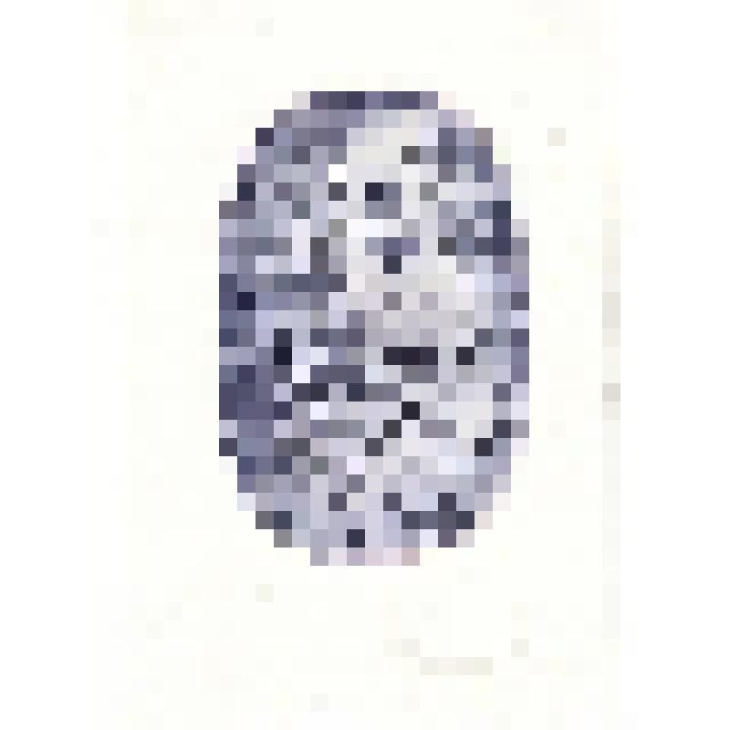 Экслибрис "Exlibris К. Кропотовой"