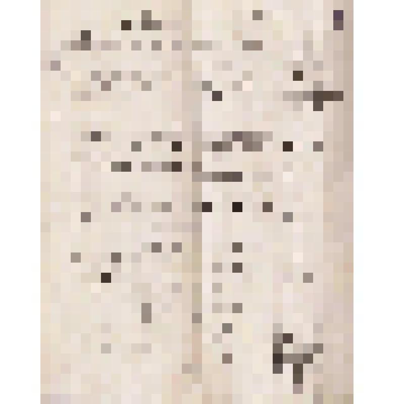 Отчет Г.П.Гусеву от Новикова, 1887 г