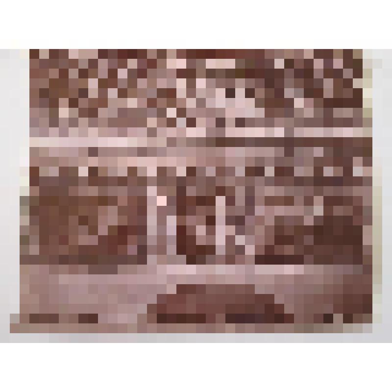 Палаццо Веккьо. 1298-99 гг. Италия, Флоренция. Палаццо Веккио. Фрески.  Авт. Страдано. Изд. Броджи