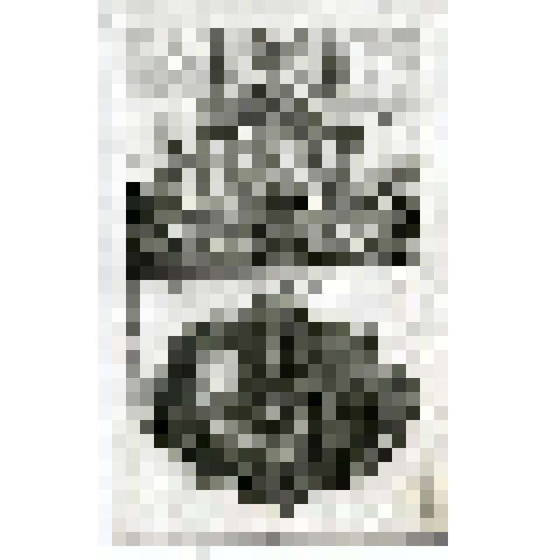 Офорт. Лист 138. Иллюстрации к Книге Варуха