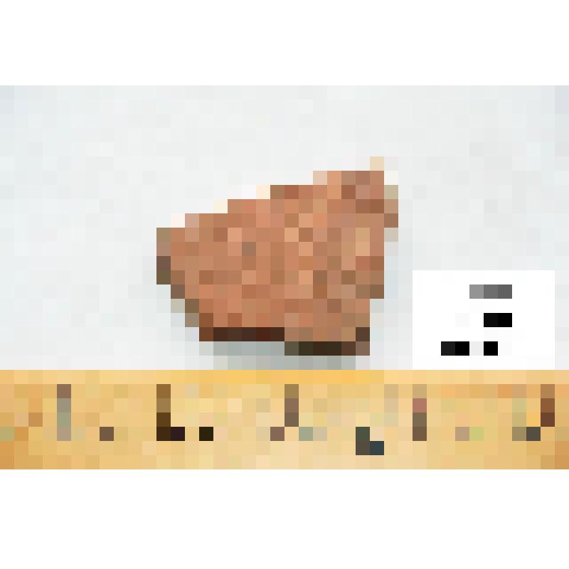 Стенка амфоры (фрагмент)