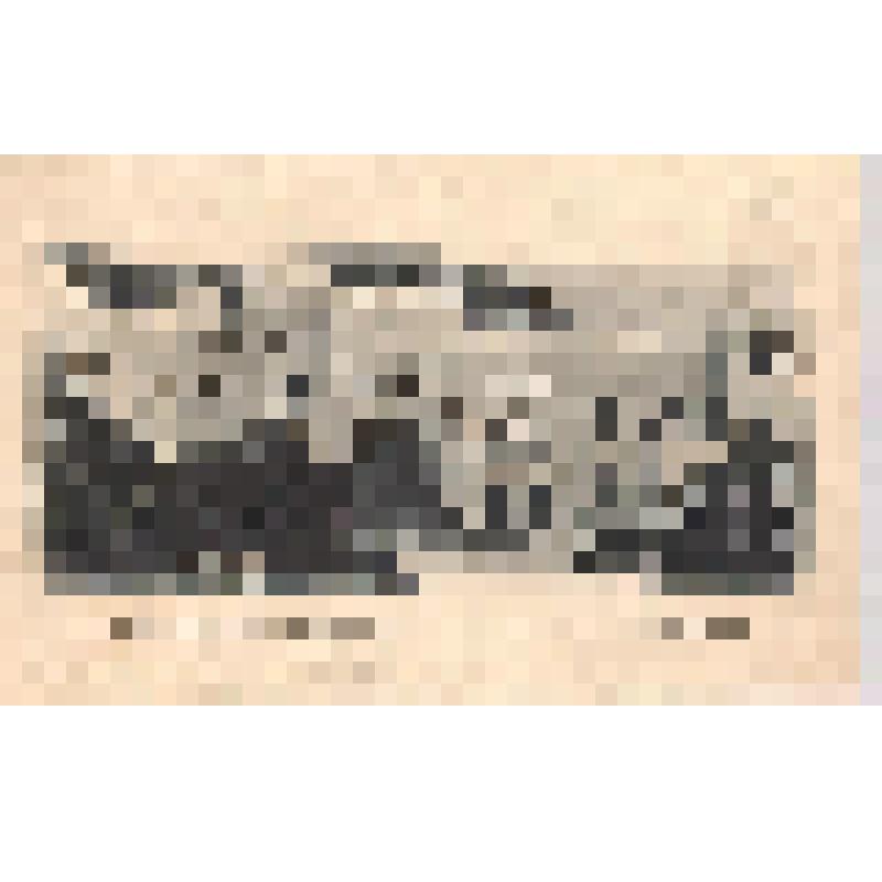 Открытка. Дюльбер. Имение Великого Князя Петра Николаевича