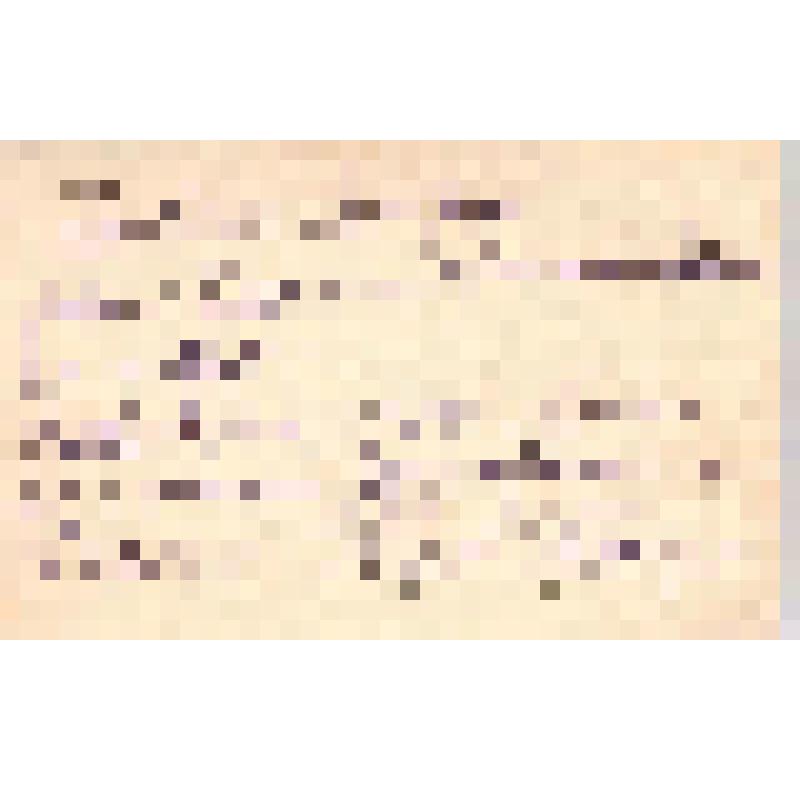 Открытка. Дюльбер. Имение Великого Князя Петра Николаевича