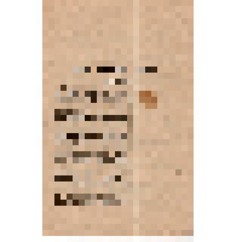 Проект резолюции о печати, принятой совещанием отдела печати ЦК РКП(б)