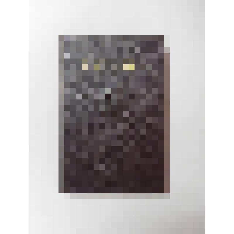 Книга:  Сочинения - Т. 1. 1893 - 1894. Из сочинений В.И. Ленина