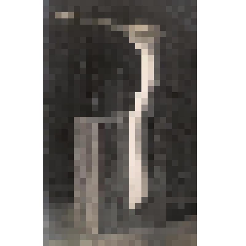 Фотография ч/б. Изображена работа В.И. Захарова «Голова птицы». Работа выполнена из  дерево (береза)