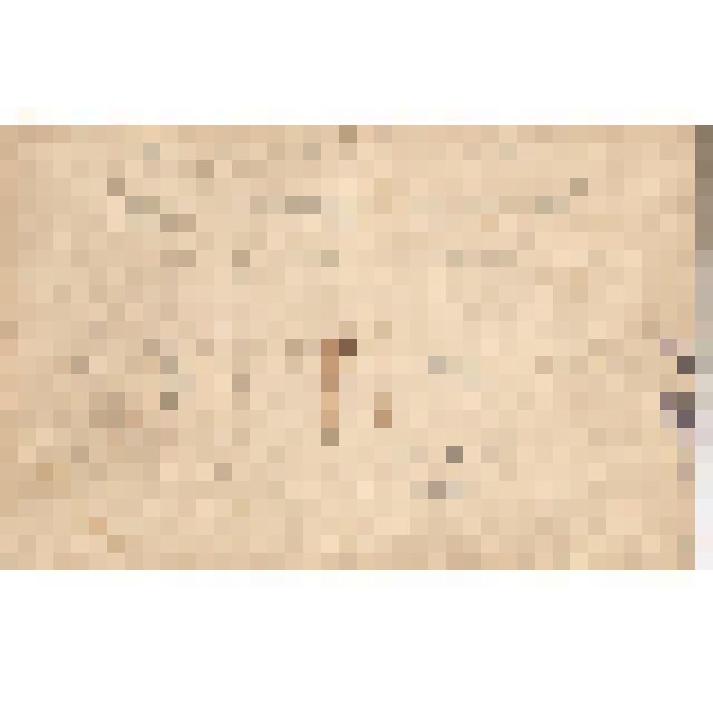 Фотография. Отец Рафаил с 1 классом школы № 1