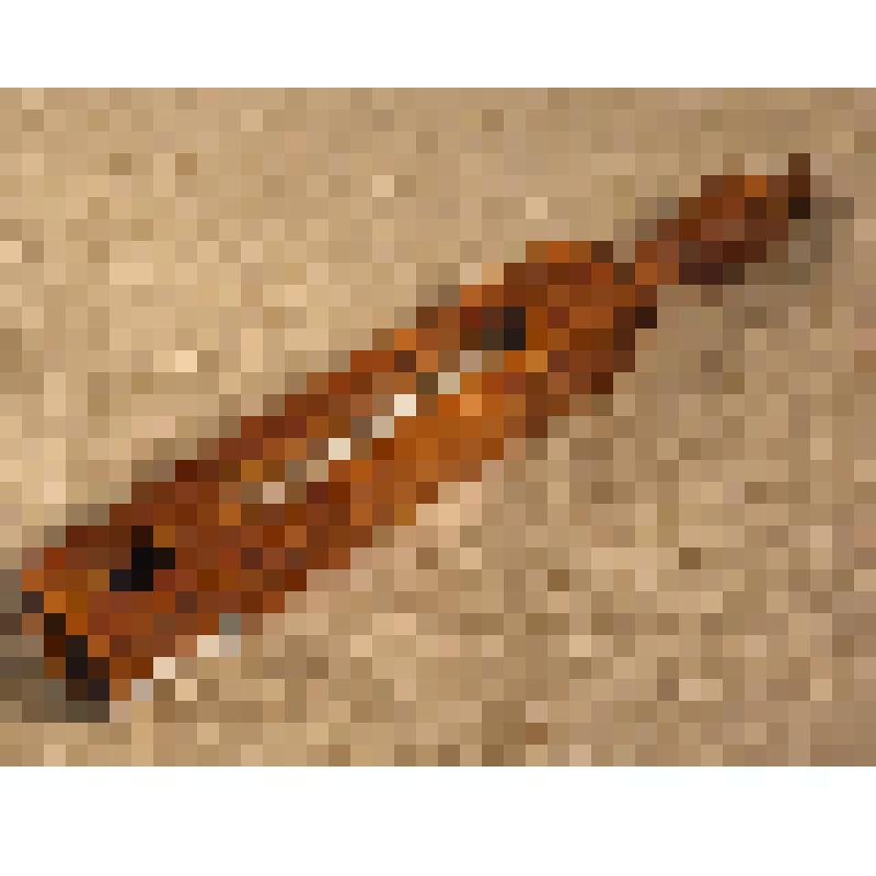 Градусник бытовой водный, из коллекции предметов быта от сотрудников Саратовского областного музея краеведения