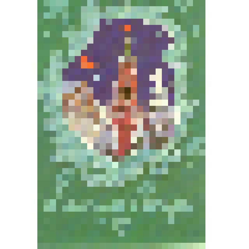 Открытка "С Новым годом!" из коллекции открыток и карточек почтовых поздравительных