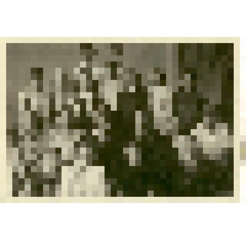 Фотография. Быкова Клара, выпускница Саратовского областного техникума физической культуры, с однокурсниками и преподавателями