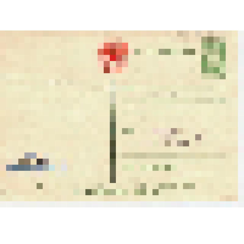 Карточка почтовая маркированная художественная "Поздравляю с днем рождения!"