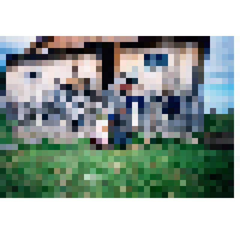 Фотография цветная "Старожилы деревни Ханты-Мужи"