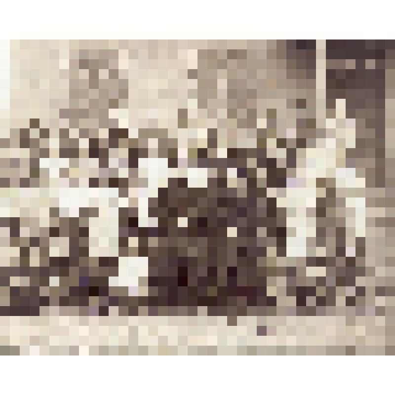 Говоров Александр Федорович с учащимися 1-го класса Александровского народного училища