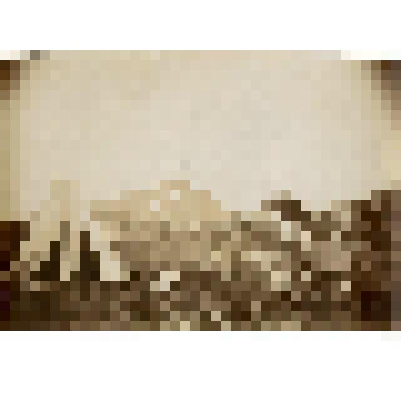 Фотография. Палатка изыскателей